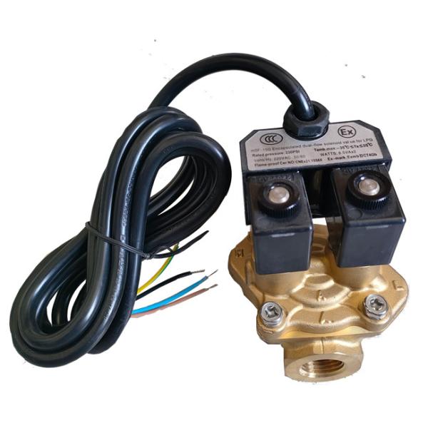 Buy Encapsulated Solenoid Flow Control Valve For LPG Fuel Dispenser at wholesale prices