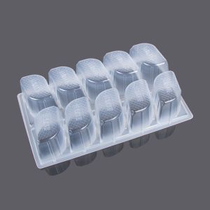 10 Compartments Soft Plastic Food Tray Dumpling Packaging