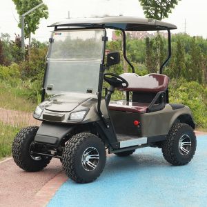 China LSV 2 Seater Golf Cart High Performance Lithium Battery Color Option 25-40 Mph For Leisure Resort on sale