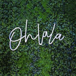 120LEDs Neon Lighted Sign Ip67 12mm Pavilion 12v Neon Sign