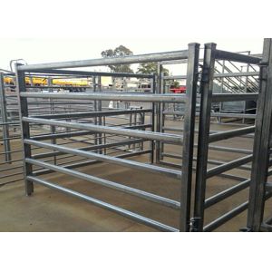 China Power Coated Metal Cattle Yard Panels Each Weld Protected With Epoxy Paint on sale