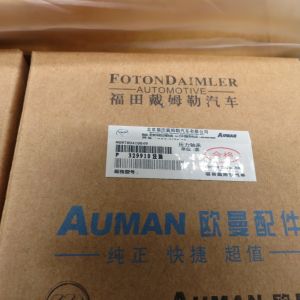 Auman original knuckle repair kit AK880410031