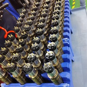 5579419 4384363 2897320 Fuel Injector Kit 2897320px 2897320nx 4384363PX