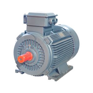 Three Phase Squirrel Cage Induction Motor Energy Saving 0.75KW To 355KW