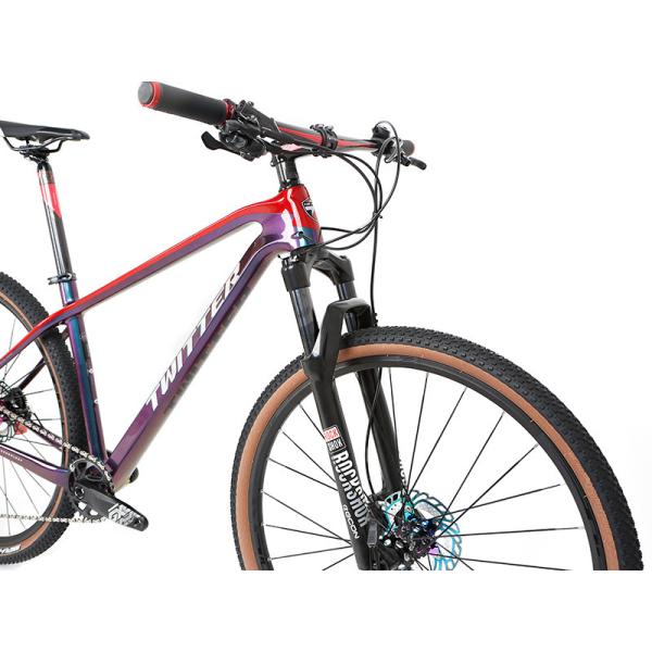 27.5 29er MAX RS Carbon Fiber Mountain Bike RETROSPEC 13 Speed