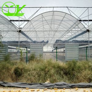 Industrial Greenhouse Hydroponic Vegetable Growing System with 11 liters Volume