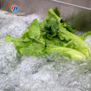 Vegetables bubblewashing machine Leaves Vegetables Onions Leafy vegetables