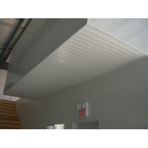 Hygienic Plastic Wall and Ceiling Panel 12" 16" 18" width Waterproof customized