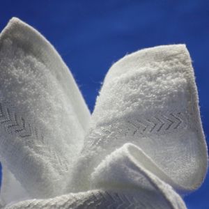 Cotton Terry Airline Satin Viscose Towel