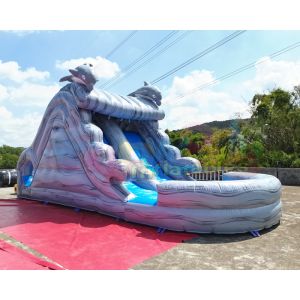 China Water Park Plato Commercial Inflatable Slide With Pool on sale
