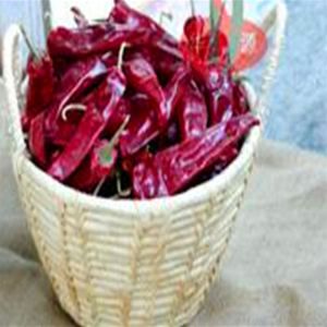 Quality Origin Spicy Flavor Chinese Dried Chili Peppers NO Allergen Information 14 Cm for sale