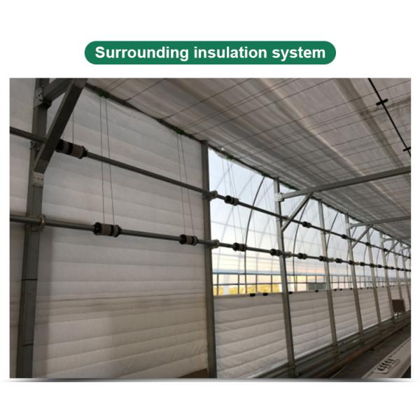 Automatical Controlling System Galvanized Steel Frame Film Greenhouse for Agriculture