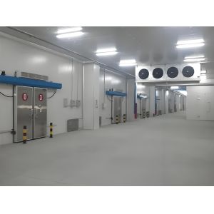 Quality Sliding / Swing Door Freezer Cold Room With Precise Control Digital Temperature Controller for sale