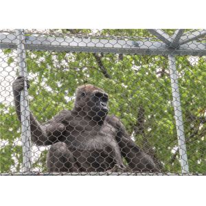 7x19 Flexible Stainless Steel Rope Mesh Green Wall 316L 304L