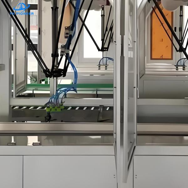 Efficient Small Bag Carton Packing Machine for 20-30 Bags per Minute with 8kw Power and Adjustable Specifications