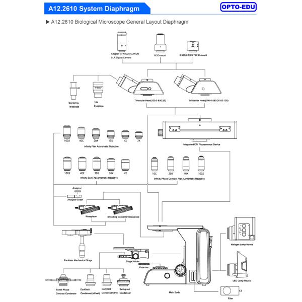 OPTO EDU A12.2610 Laboratory Biological Microscope