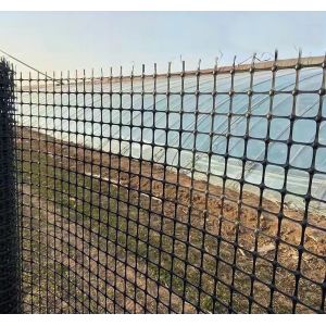 Road Reinforcement Biaxial Geogrid with and Tensile Strength in Chinese Design