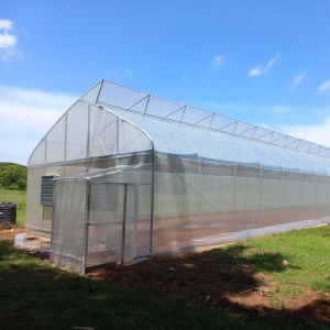 Urban Farming Sawtooth Agricultural Greenhouse Plastic Agri Greenhouse Single
