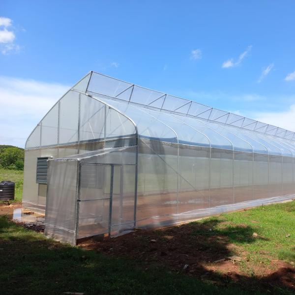 Buy high performance High Tunnel Sawtooth Greenhouse Agricultural ISO9001 at wholesale prices