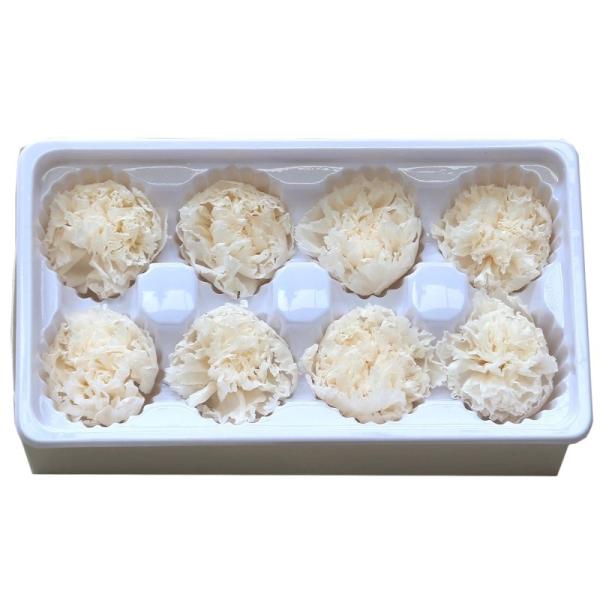 Factory Price Preserved Flowers Real Preserved Carnation For Mother