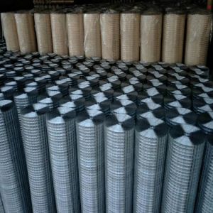 Quality Customized 4x4 Galvanised Welded Mesh Fence Rolls for sale