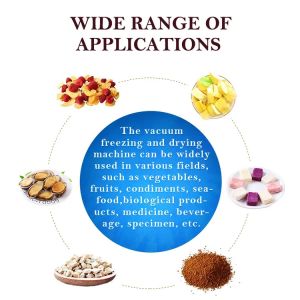 SS 167KW Lab Freeze Dryer Temperature 30-150℃ Professional Manufacturing