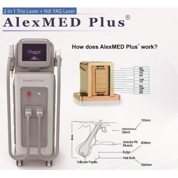 Buy Nd Yag 808nm Diode Laser Hair Removal Machine 1 - 10Hz Frequency 10 - 300ms Pulse Width at wholesale prices