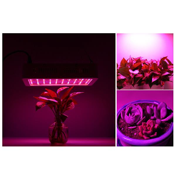 80W 5950LM Indoor LED Grow Lamp 100 degree Beam Angle With Hanging Hook Steel String
