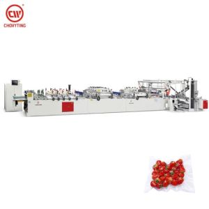 Leakproof Sealing Nylon Vacuum Food Plastic Bag Making Machine