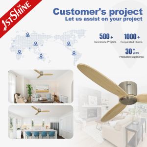 110-240V/50Hz-60Hz Voltage 3-Blade Ceiling Fan for Stable and Quiet Bedroom
