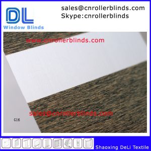 Morden Window Covering Zebra Blinds