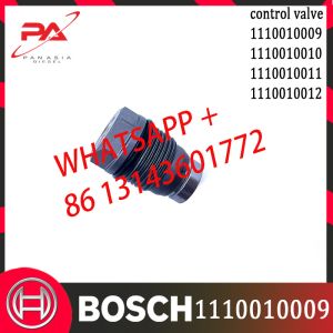 1110010009 Common Rail Fuel Pressure Relief Valve 1110010010 1110010011