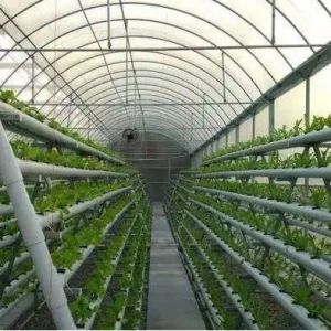 Large-Scale Farming Greenhouse Hydroponic System featuring Temporary Heating
