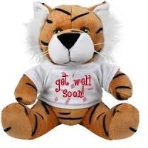 Brown Tiger With T Shirt Soft Toy Plush Toy