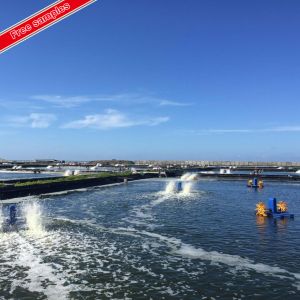 HDPE Geomembrane for Reinforcing Polyethylene Asphalt Coiled Material Production