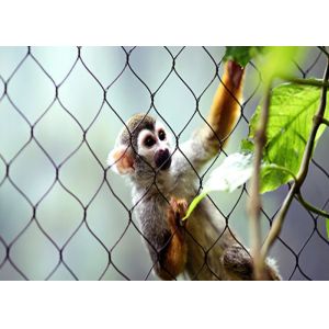 304L 3.0mm 150x150mm Stainless Steel Rope Mesh