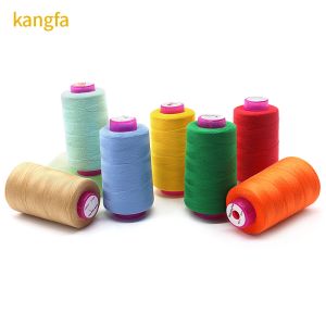 Polyester Thread for Sewing and 202 203 302 303 402 502 403 602 604 606 209 Yarn