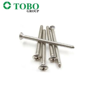 Stainless Steel Self Tapping Screws DIN7983 Cross Recessed Raised Countersunk