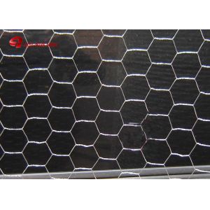 Galvanized Wire Mesh/Chicken Wire Mesh with Hexagonal Wire Netting