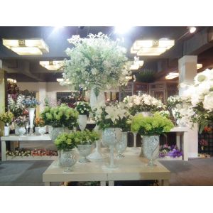 Xiamen Fusihua Imp. & Exp. Co., Ltd.