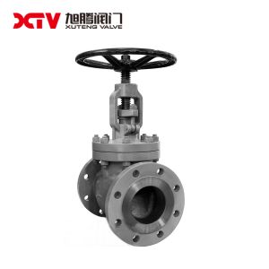 Stainless Steel DIN-F4 Gate Valve for Industrial Usage within Ordinary