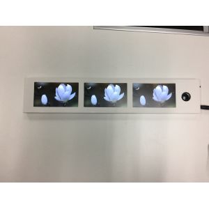 Digital Video POP Display 4.3 Inch Screen LCD Video Screen Brochure