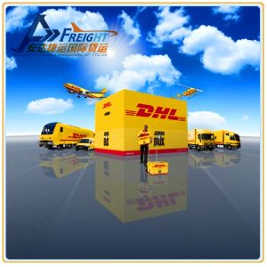 International Express Courier Service Nice Logistic Cargo Agent Express Service