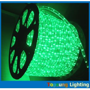 christmas led light 110/220v 2 wire round led rope flex lights
