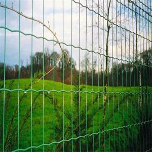 TLWY PVC Coated Welded Mesh Fencing 9.0mm Holland Fence