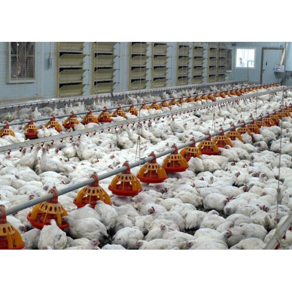 1-3/4" 45mm Middle Size Poultry Pulley For Feed Line