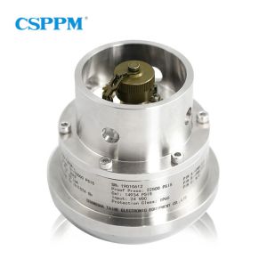 Rugged Solution Hammer Union Pressure Transmitter Oil and Gas Applications