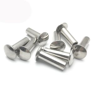 Bright SUS304 / SUS316 Stainless Steel Flat Head Rivet GB871