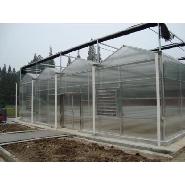 8m 9.6m 12m Span Width Agriculture Greenhouse For Hybrid Tomato Seeds And Vegetables