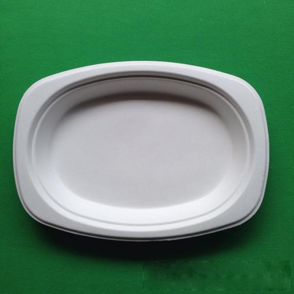 Buy biodegradable eco-friendly tableware sugarcane small oval shaped food tray at wholesale prices